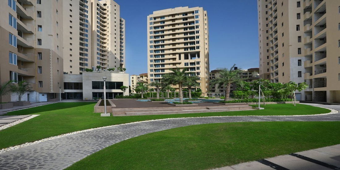 Project image 7