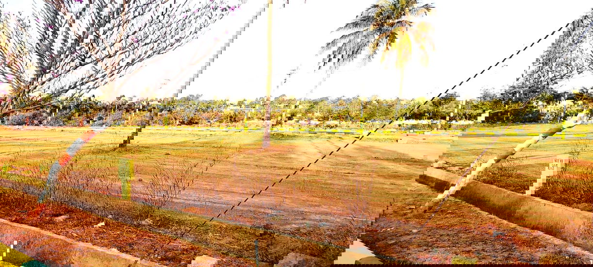 Project image 5