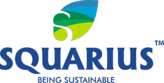 Squarius Infra Projects Pvt. Ltd