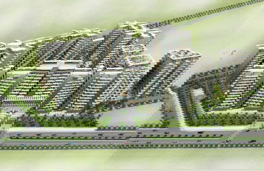 Project image 13