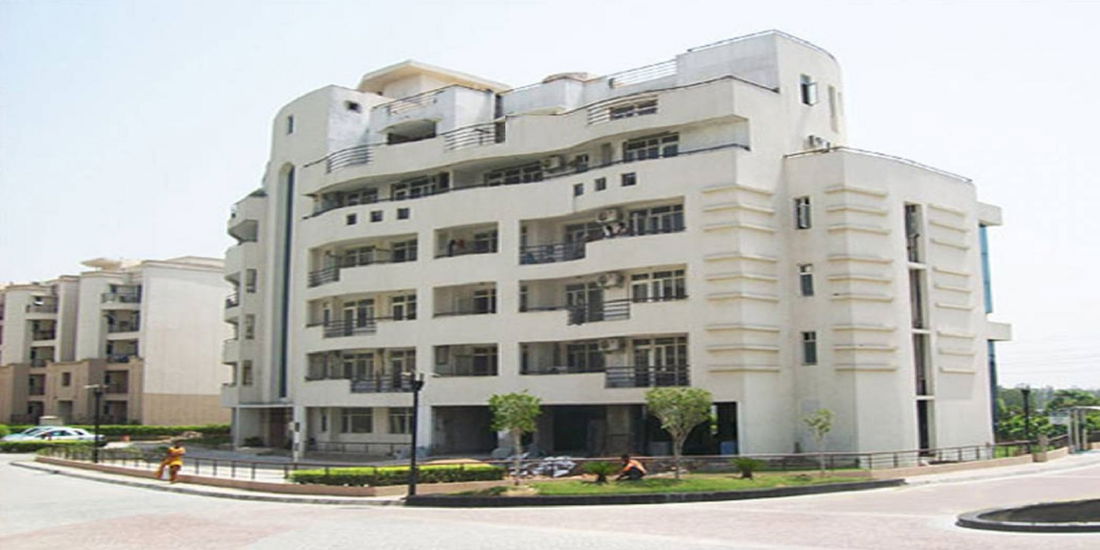 Project image 8
