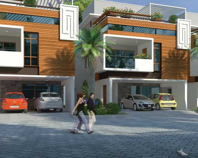 Project image 6