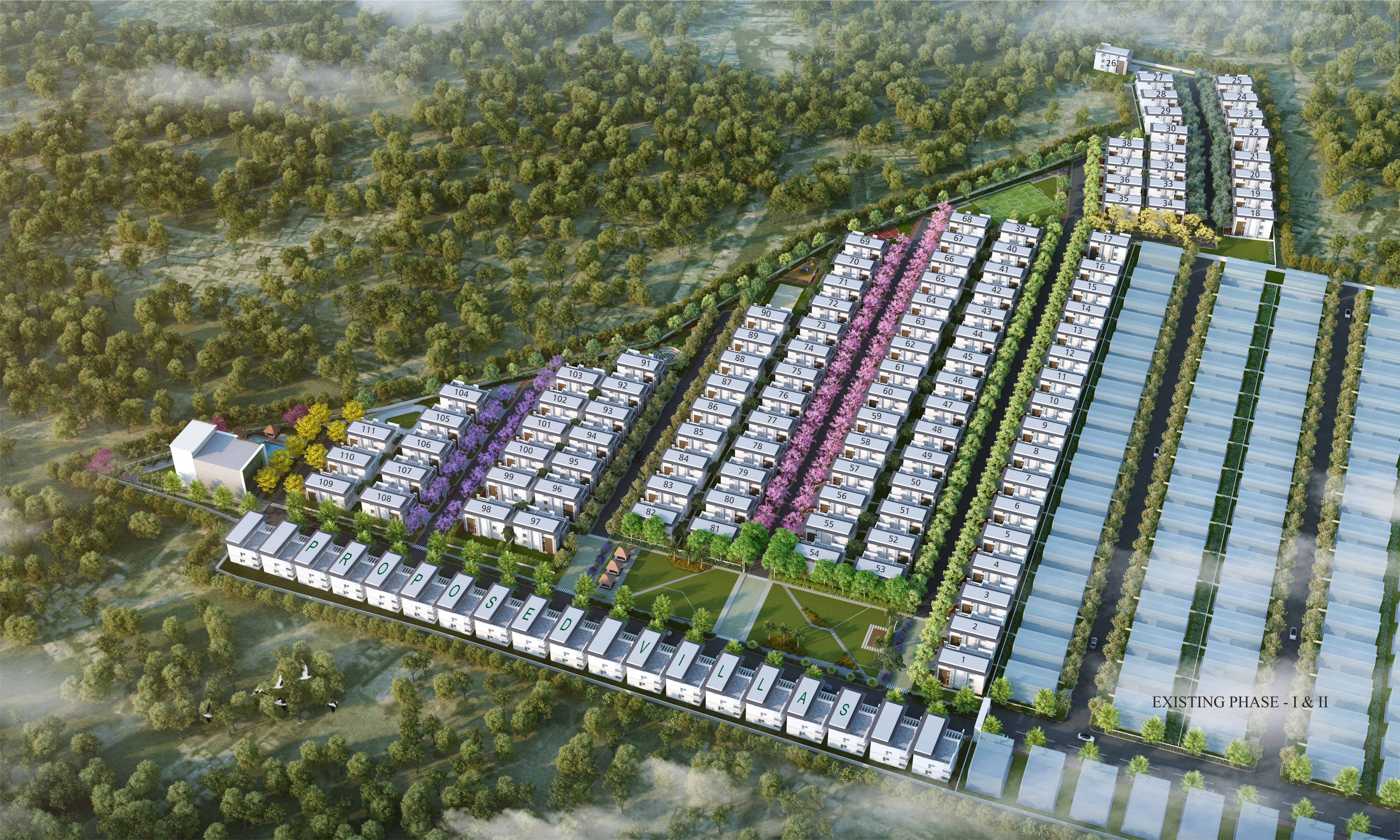 Project image 5