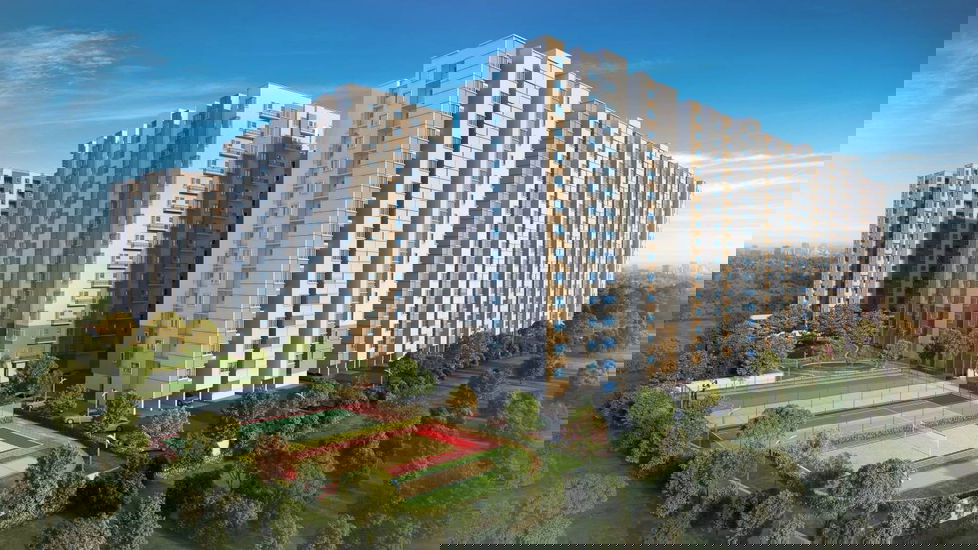 Project image 11