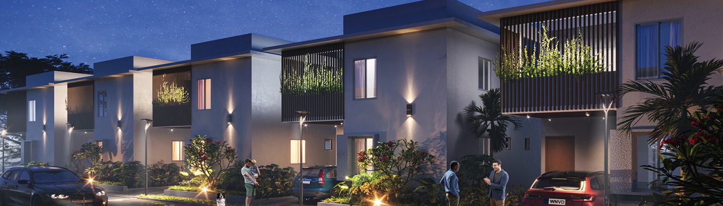 Sark South Meadows 1