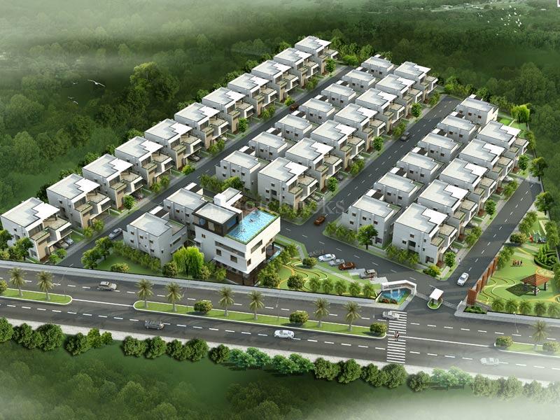 Shanta Sriram Spring Valley