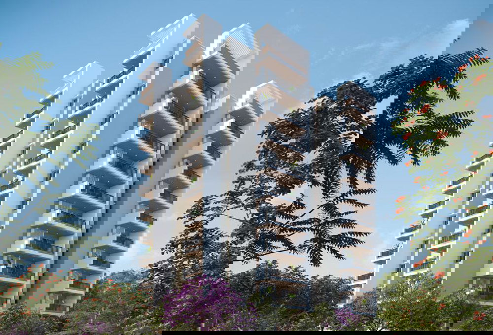 Project image 6