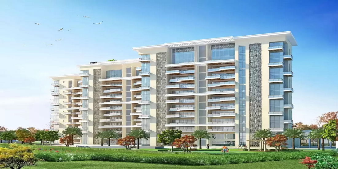 Project image 15