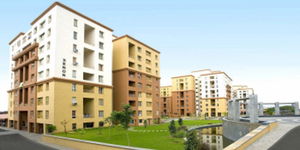 Vascon Aurum